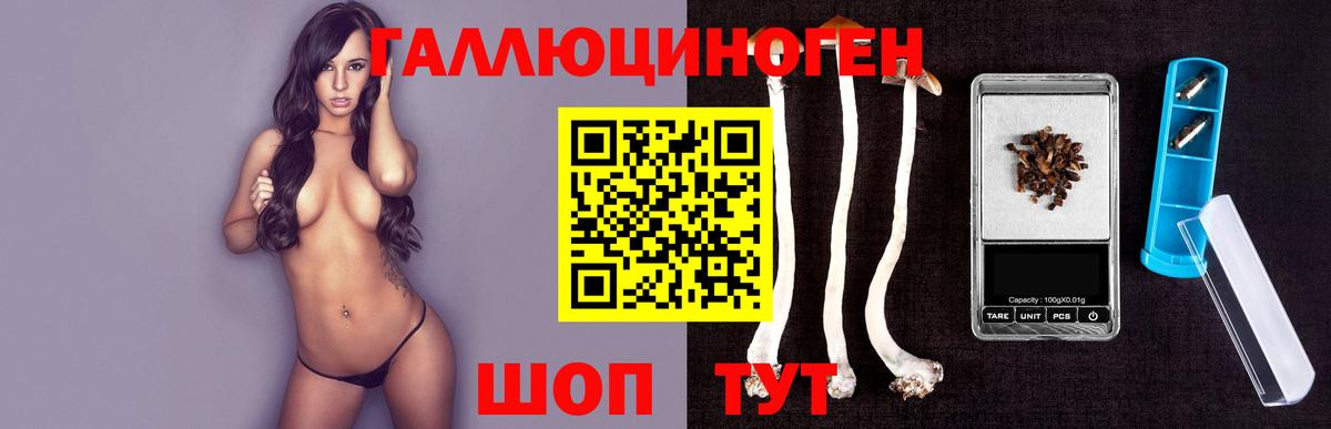 Псилоцибиновые грибы мицелий  Псилоцибиновые грибы Magic Shrooms  Хасавюрт  Вход с VPN 